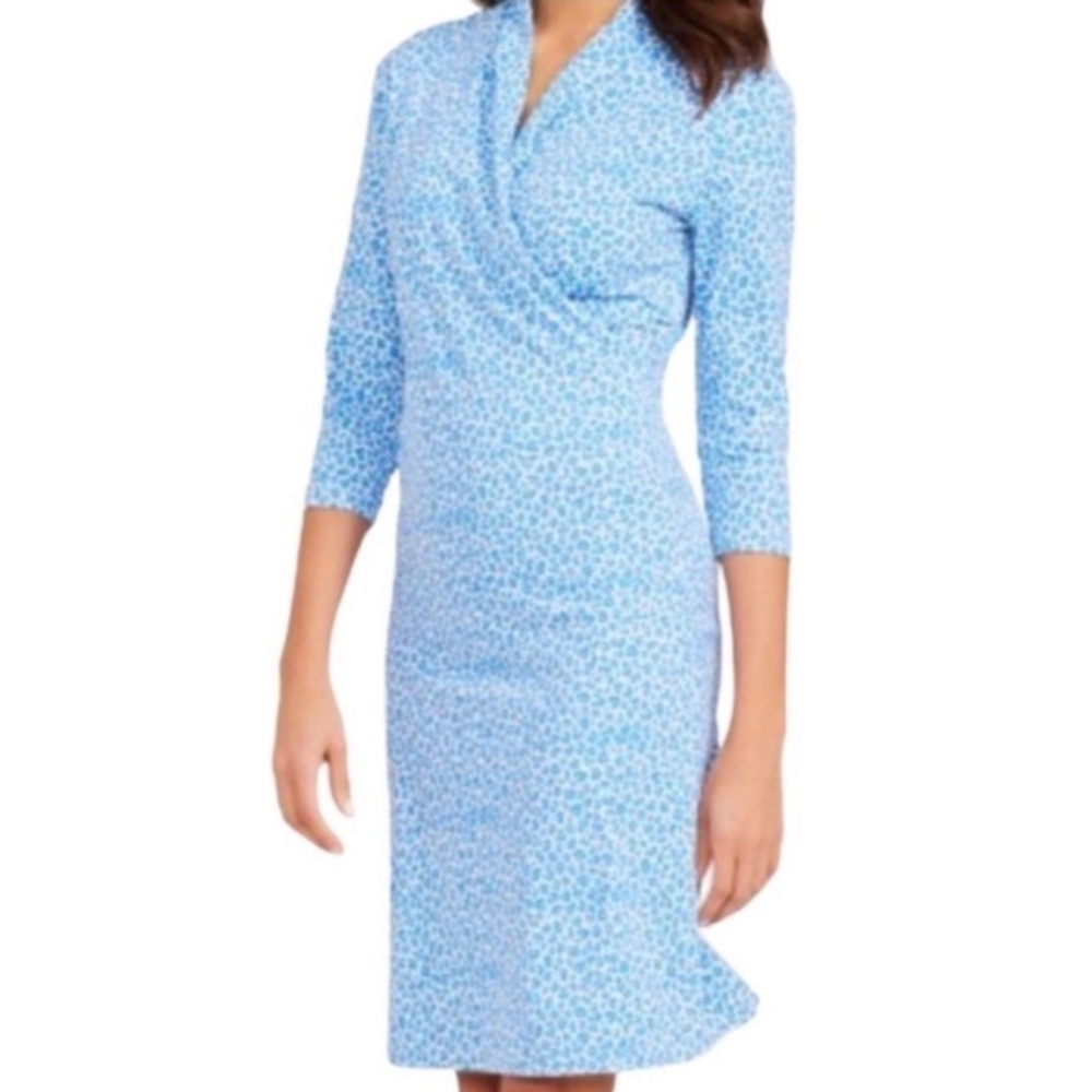 J.Mlaughlin Catalina Leopard Print Wrap Dress